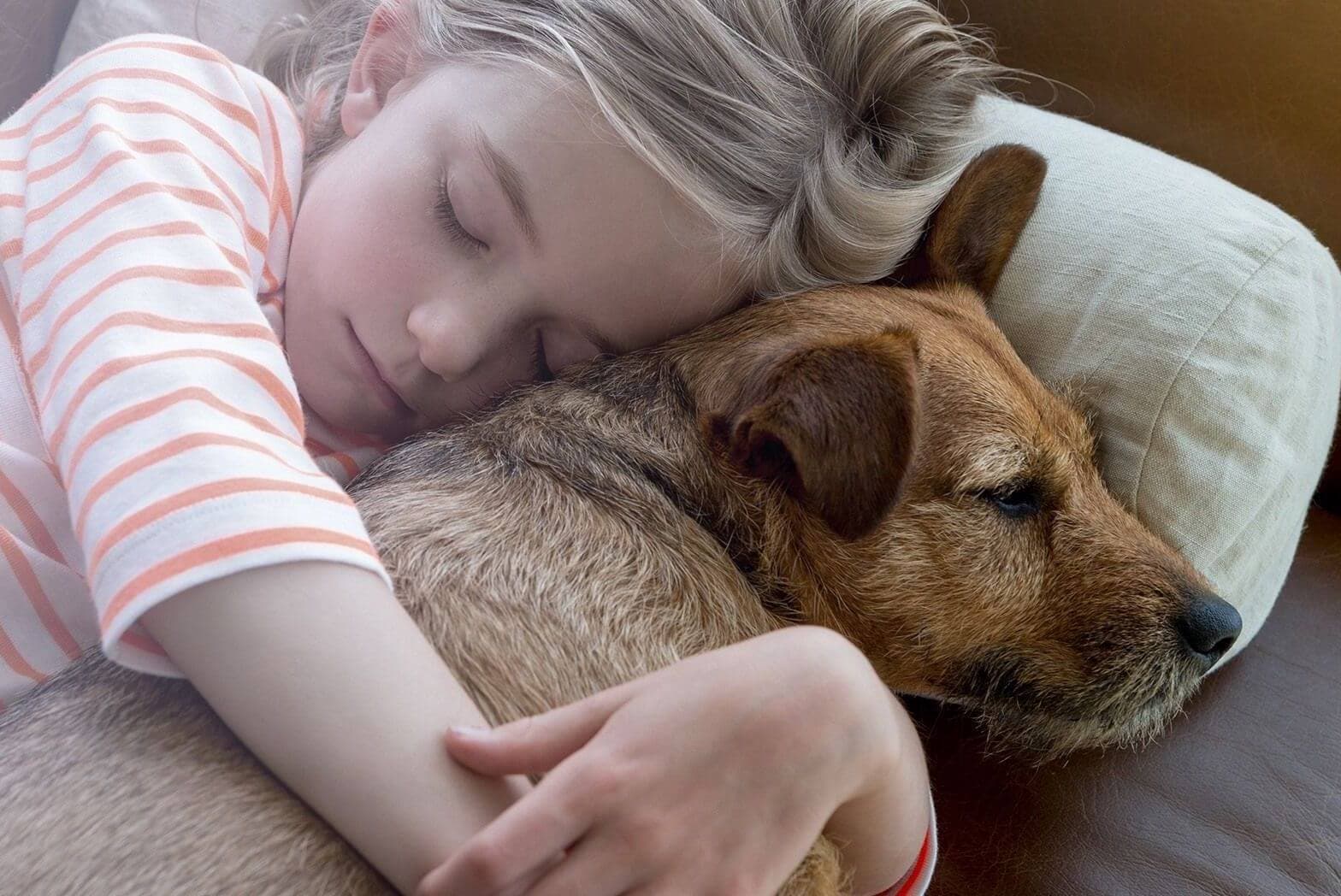 child hugging his pet
